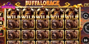 Buffalo